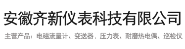 安徽齊新儀表科技有限公司